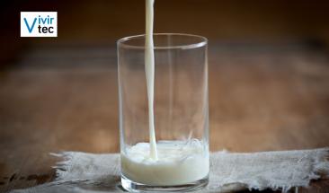 MSD Animal Health lanza en Per&uacute; la l&iacute;nea de Sistema Inteligente de Orde&ntilde;o y Monitoreo de Animales, que permitir&aacute; mejorar los par&aacute;metros productivos y reproductivos en la industria l&aacute;ctea