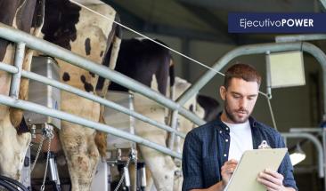 MSD Animal Health lanza en Per&uacute; la l&iacute;nea de Sistema Inteligente de Orde&ntilde;o y Monitoreo de Animales, que permitir&aacute; mejorar los par&aacute;metros productivos y reproductivos en la industria l&aacute;ctea