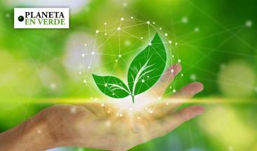 Innovaciones tecnol&oacute;gicas en favor del medio ambiente