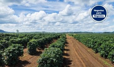 Generaci&oacute;n Re.generaci&oacute;n: crear entre todos un futuro resiliente para nuestro planeta y para las personas