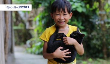 Gatos: la compa&ntilde;&iacute;a perfecta para todas las edades