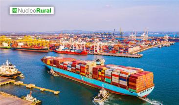 Per&uacute; avanza en exportaciones agr&iacute;colas y desaf&iacute;a a Chile