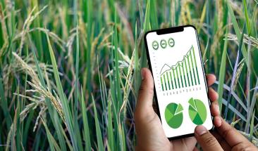 Agricultura inteligente contra la sequ&iacute;a en Espa&ntilde;a