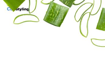 La s&aacute;bila: un tesoro natural para la piel