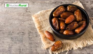 M&eacute;xico se prepara para el segundo festival internacional de la palma datilera 2023