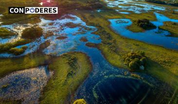 &iquest;C&oacute;mo Am&eacute;rica Latina y el Caribe puede aportar soluciones a la crisis clim&aacute;tica y de biodiversidad?