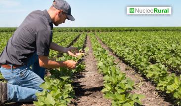 Agricultura regenerativa contra la desertificaci&oacute;n y el cambio clim&aacute;tico