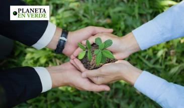 Los pilares de un emprendimiento ambiental