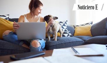 En los hogares espa&ntilde;oles viven m&aacute;s de 29 millones de animales de compa&ntilde;&iacute;a