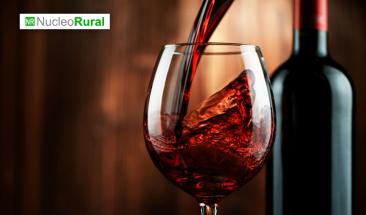 Los portugueses son los mayores consumidores de vino a nivel mundial