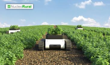 Robots agr&iacute;colas, tecnolog&iacute;a para impulsar la productividad del campo