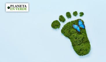 Aplica estos consejos y ser&aacute;s una persona m&aacute;s ecol&oacute;gica