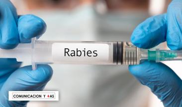 D&iacute;a Mundial contra la Rabia: fortaleciendo las medidas de prevenci&oacute;n contra esta enfermedad