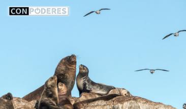 Ministerio del Ambiente fortalecer&aacute; acciones para la conservaci&oacute;n de los recursos naturales