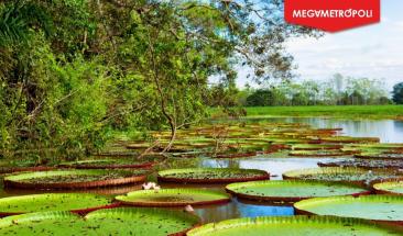 Serfor, Sernanp y DEVIDA suscribieron declaraci&oacute;n conjunta en alianza por la Amazon&iacute;a peruana y su desarrollo sostenible