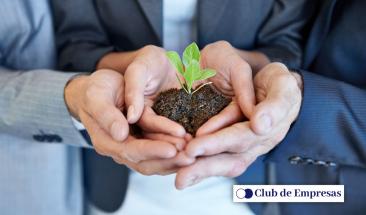 C&oacute;mo evaluar estrategias de sostenibilidad empresarial