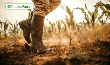 71% de los agricultores globales ya han sido afectados por el cambio clim&aacute;tico