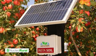 La revoluci&oacute;n de la inteligencia artificial en la agricultura