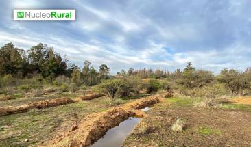 Zanjas de infiltraci&oacute;n lideran el camino de la agricultura regenerativa