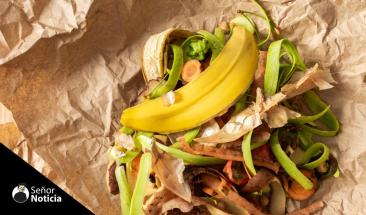 Gastronom&iacute;a sostenible a partir de desechos alimentarios