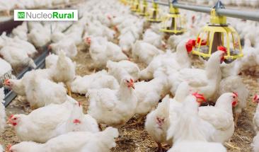 Granjas ecol&oacute;gicas para un futuro alimentario m&aacute;s sostenible