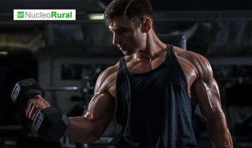 Cinco consejos para evitar lesiones en el gimnasio