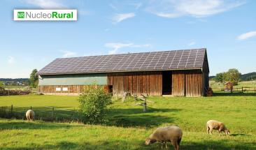 Estos son los beneficios de la agrivoltaica en el mundo agr&iacute;cola