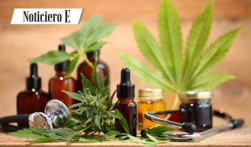 Cannabis recurso natural vers&aacute;til con alto potencial para solucionar problemas debido a sus diferentes aplicaciones