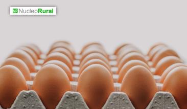 D&iacute;a Mundial del Huevo: cinco razones para incluirlo en la dieta diaria