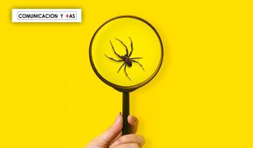 Sorprendentes especies de animales descubiertas en 2023