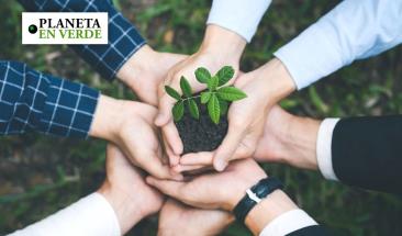 S&oacute;lo el 25% de las empresas mundiales est&aacute;n preparadas para la validaci&oacute;n ESG