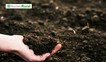 Desaf&iacute;os y estrategias para recuperar el suelo agr&iacute;cola post inundaciones