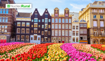 Cinco ciudades sustentables con mejor turismo colaborativo