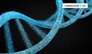 DeepMInd, la IA de Google, revoluciona la identificaci&oacute;n de enfermedades gen&eacute;ticas