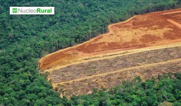 La ganader&iacute;a ha devastado la reserva m&aacute;s grande de Centroam&eacute;rica