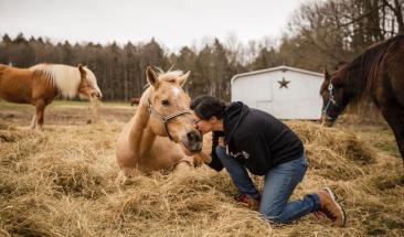 D&iacute;a Mundial del One Health: protegiendo la salud de los animales, personas y el medioambiente