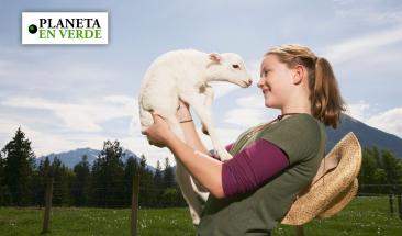 D&iacute;a Mundial del One Health: protegiendo la salud de los animales, personas y el medioambiente