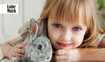 D&iacute;a Mundial del One Health: protegiendo la salud de los animales, personas y el medioambiente