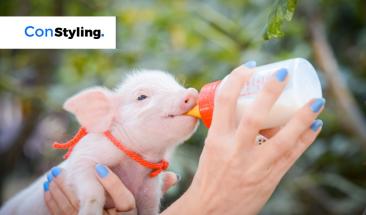 D&iacute;a Mundial del One Health: protegiendo la salud de los animales, personas y el medioambiente