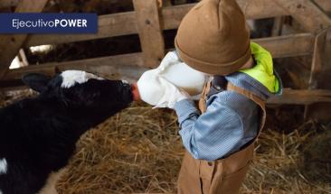 D&iacute;a Mundial del One Health: protegiendo la salud de los animales, personas y el medioambiente