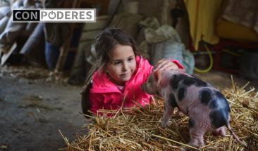 D&iacute;a Mundial del One Health: protegiendo la salud de los animales, personas y el medioambiente