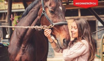 D&iacute;a Mundial del One Health: protegiendo la salud de los animales, personas y el medioambiente