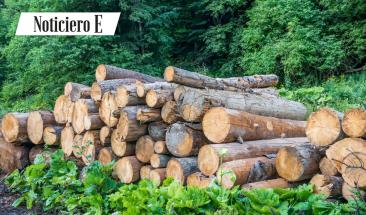 SERFOR y GORE de Loreto y Ucayali asesoran a los centros de transformaci&oacute;n primaria sobre uso de libros de operaciones