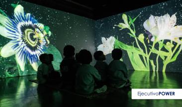 SERFOR te invita a vivir una experiencia audiovisual y sensorial de los bosques en 270 grados