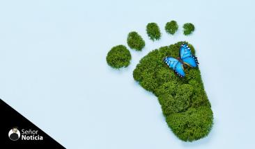 Argentina aprueba el uso de Mercados de Carbono