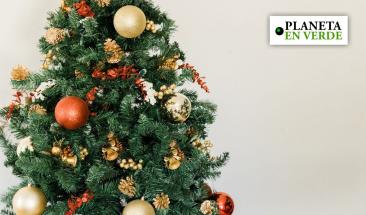 &Aacute;rbol natural o artificial, un dilema ecol&oacute;gico en Navidad