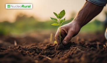 C&oacute;mo funciona la agricultura regenerativa