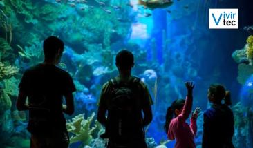 Frost Science: explorando la ciencia y la tecnolog&iacute;a en Miami