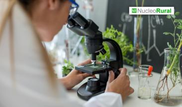 Cient&iacute;ficos buscan poder cultivar en suelo lunar