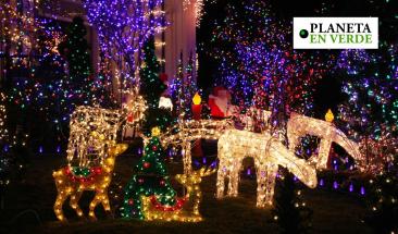 C&oacute;mo afecta al medio ambiente la contaminaci&oacute;n lum&iacute;nica en Navidad